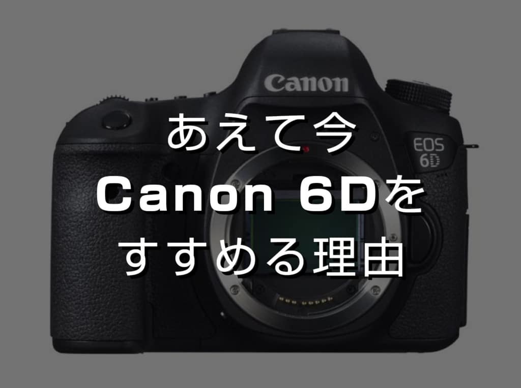 【Canon】写真を本格的に始めたい人にあえて今、キヤノンEOS 6Dをおすすめする理由 | スカイフィッシュのドローンブログ