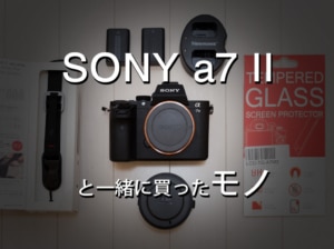 【おすすめカメラグッズ】SONYのミラーレスカメラ a7 II と一緒に買ったモノ【α7ii】