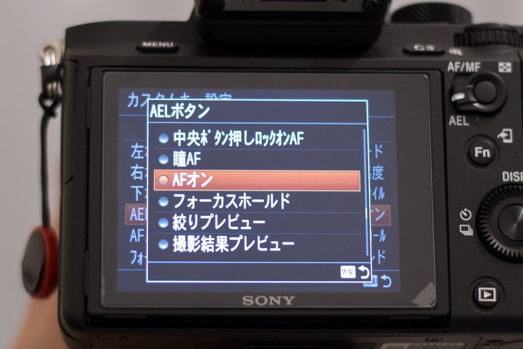ミラーレスカメラ初期設定】SONYのカメラ初心者がa7 IIを購入して最初 