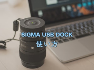 【SIGMA USB DOCK】シグマのレンズをカスタムするUSBドックの使い方【Art、Contemporary、Sports】