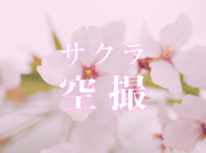 【ドローンで桜空撮】DJIのドローンPhantom4 Pro でサクラの撮影をする！