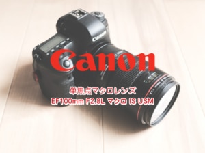 【Canonレンズレビュー】単焦点マクロレンズ EF100mm F2.8L マクロ IS USM 【キヤノン】