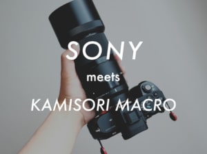 【使用レビュー】シグマの新型カミソリマクロをSONYミラーレスカメラa7 iiで試す【SIGMA MC-11】