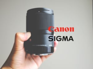 【SIGMAカミソリマクロの描写力】シグマの最新レンズとCANONのLレンズを比較した結果・・・