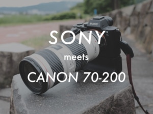 【SIGMA MC-11】SONYのカメラでCANONの白レンズの使い方【EF70-200mm F4L IS USM】