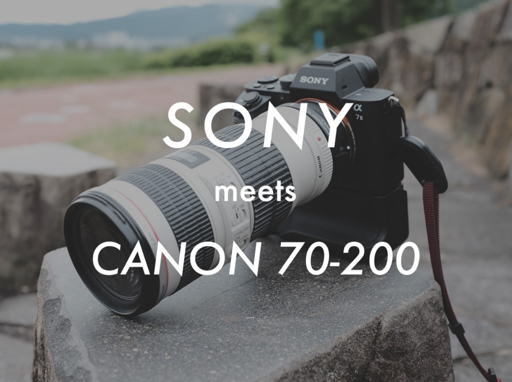 SIGMA MC-11】SONYのカメラでCANONの白レンズの使い方【EF70-200mm F4L 