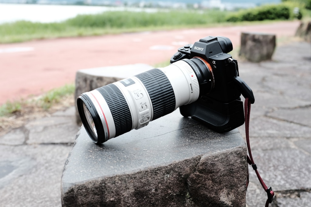 SIGMA MC-11】SONYのカメラでCANONの白レンズの使い方【EF70-200mm F4L 