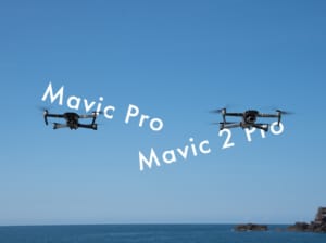 【レビュー】Mavic ProとMavic2 Proの比較！実際の画質を比べてみた【実機比較】