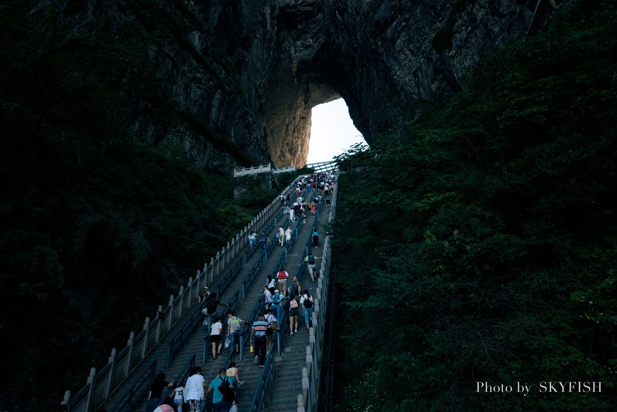 カメラ SONY α7RIII + SIGMA 14-24mm F2.8 DG HSMで撮影