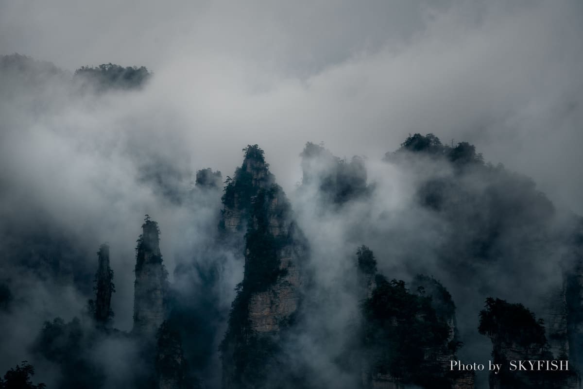 カメラ SONY α7RIII + SIGMA 24-105mm F4 DG OS HSMで撮影