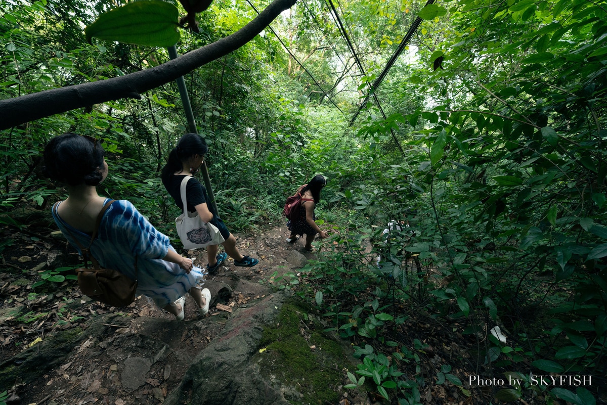 中国、興坪の老寨山