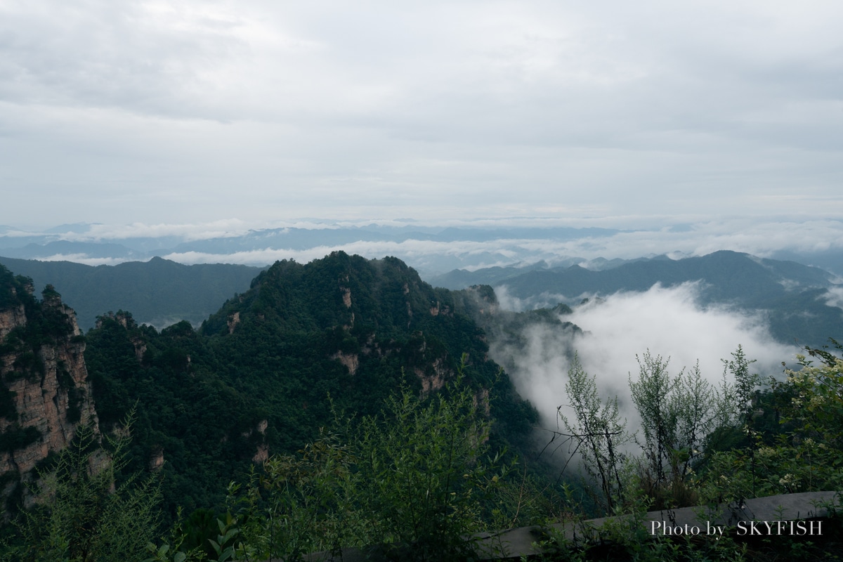 天子山