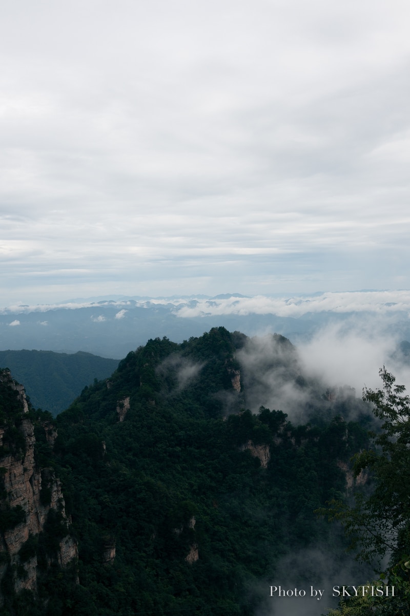 天子山