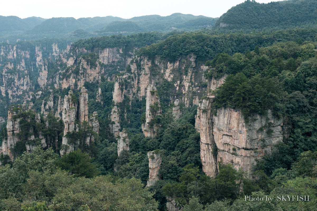 天子山