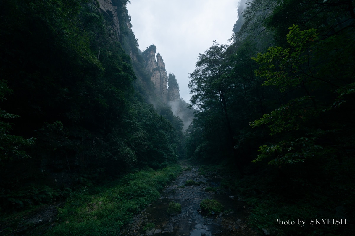 sigma 14-24mm artで撮影