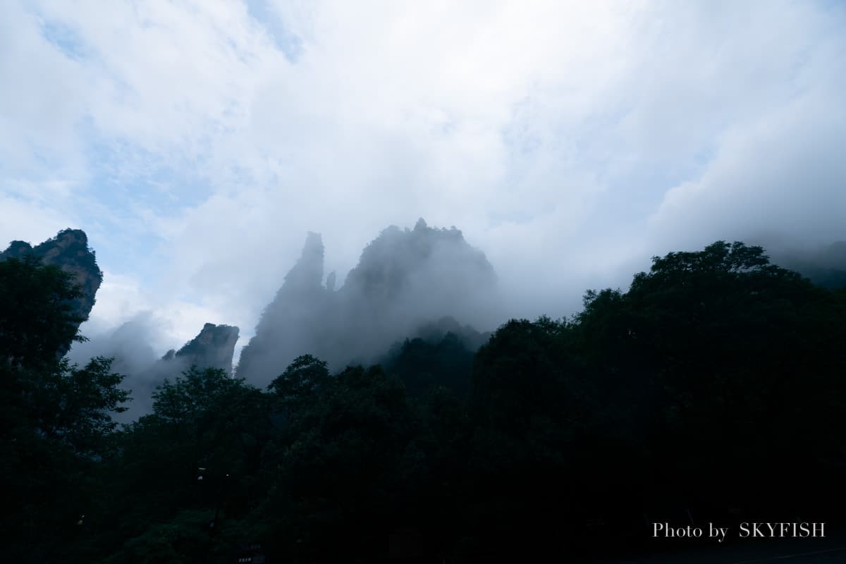 sigma 14-24mm artで撮影