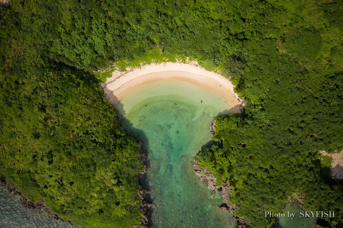 沖縄の風景