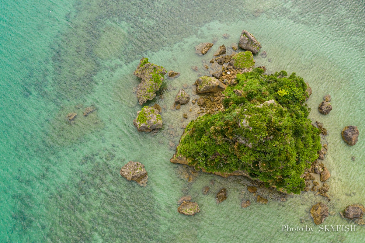 沖縄の風景