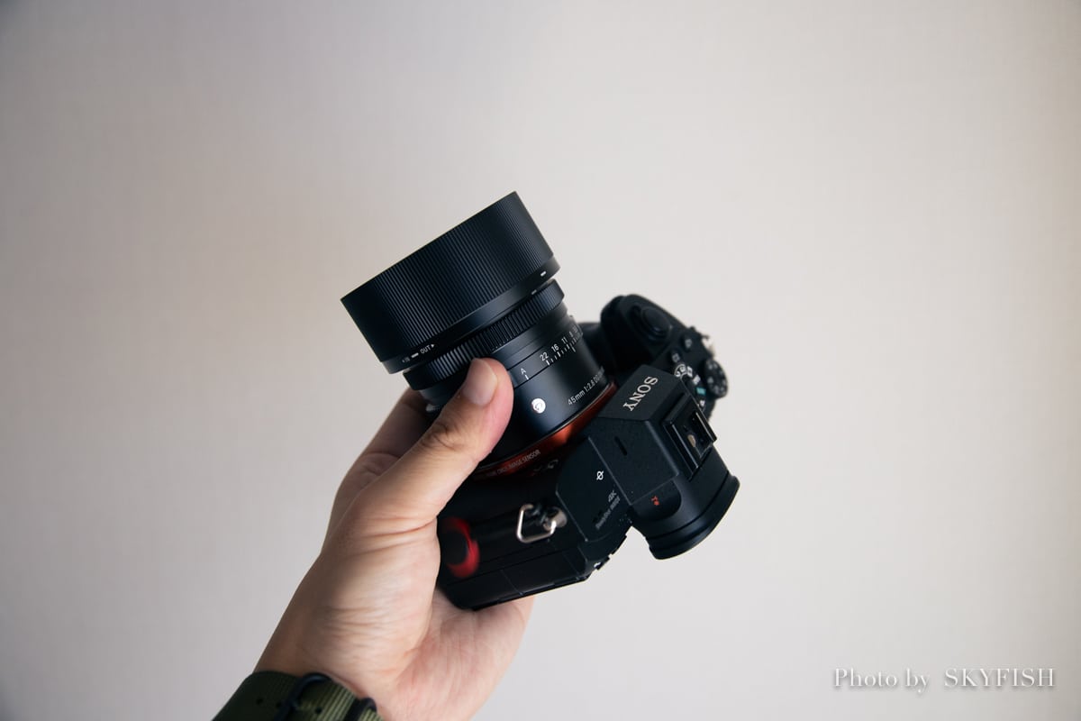 【SIGMA】ミラーレスカメラの新標準レンズ！45mm F2.8 DG DN Contemporary【使用レビュー】 | スカイフィッシュの