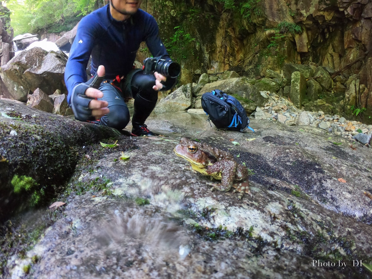 沢遊びをGoProで撮影