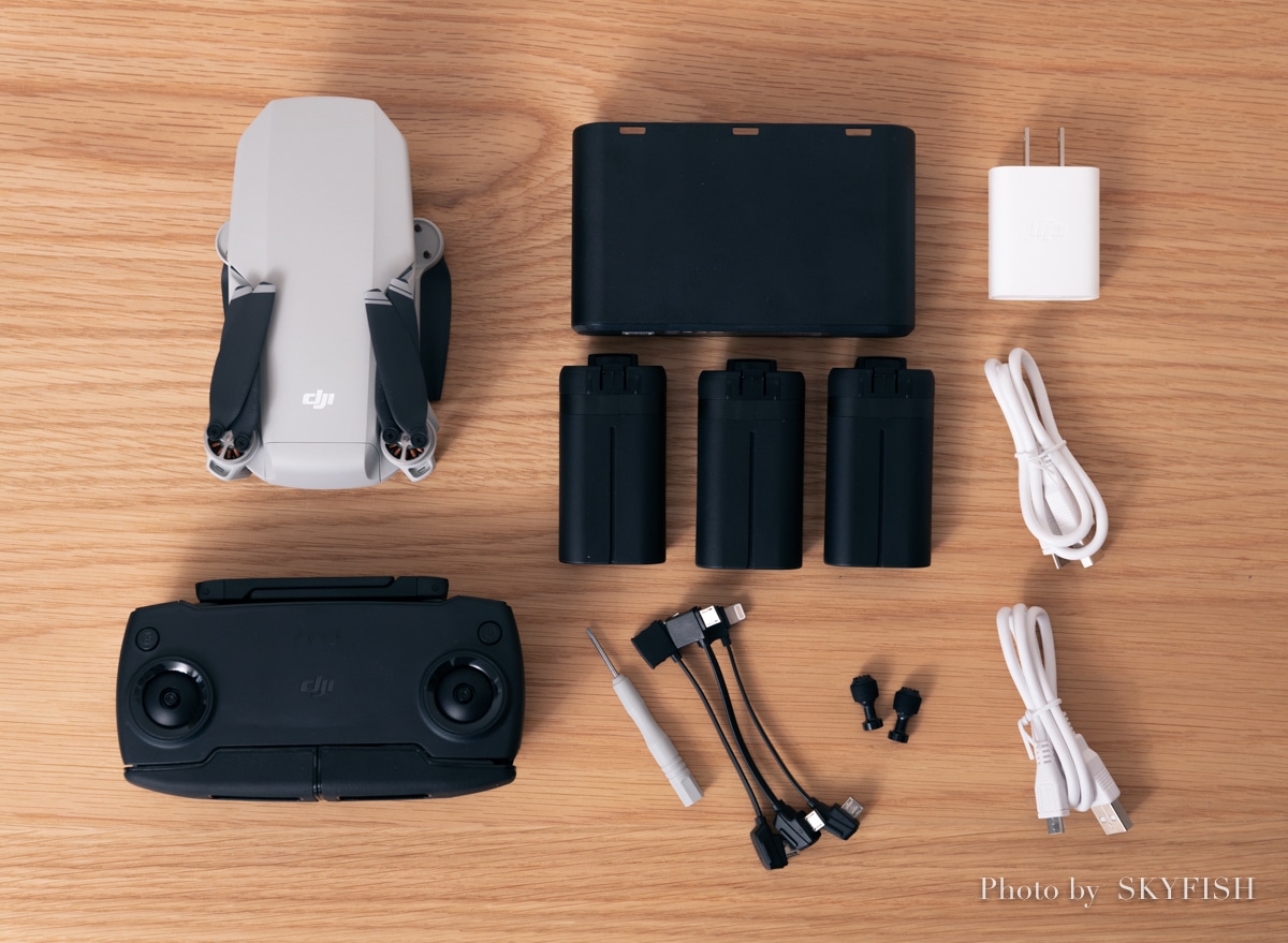 DJI Mavic Mini