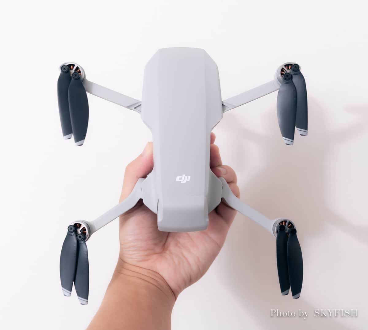 DJI Mavic Mini