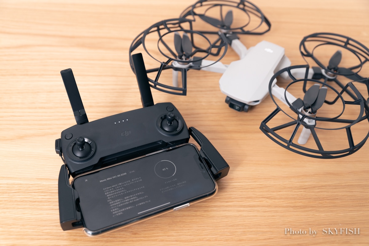 DJI Mavic Mini