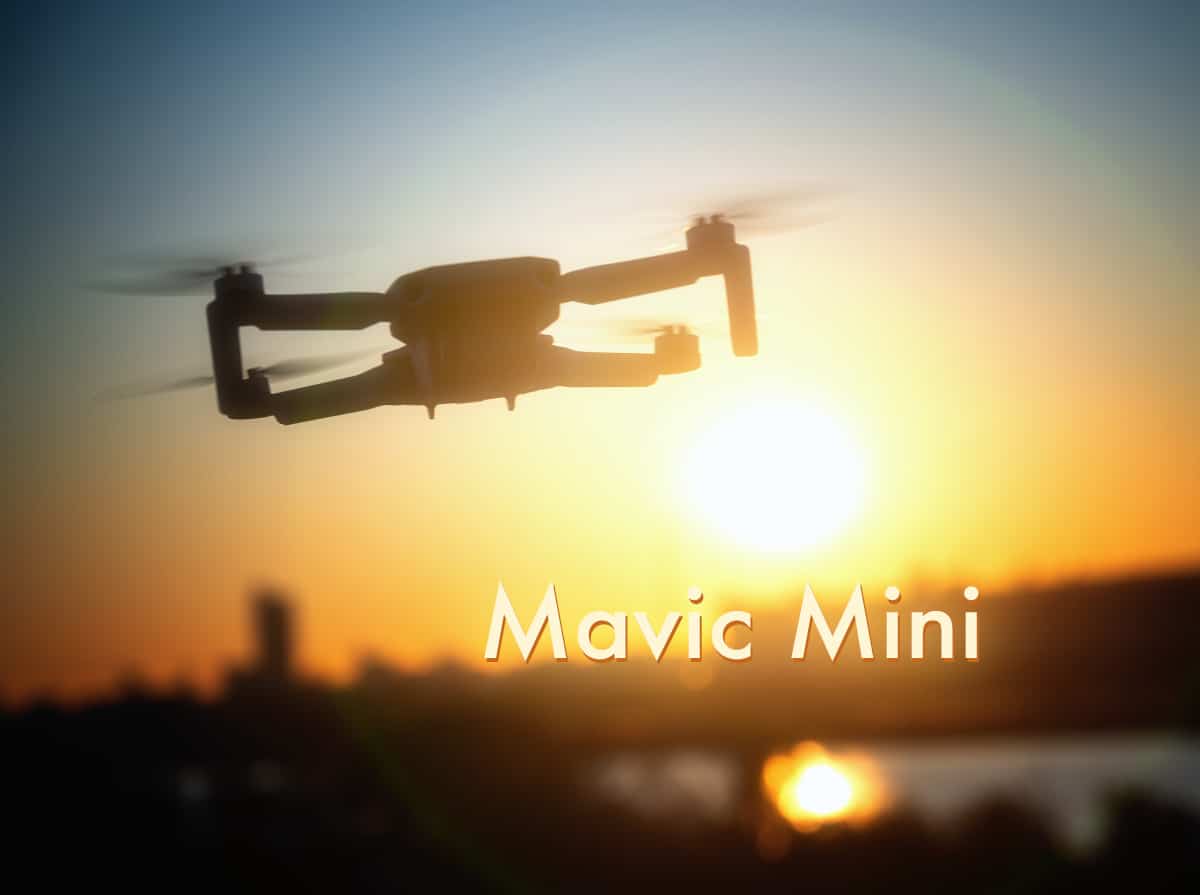 mavic mini