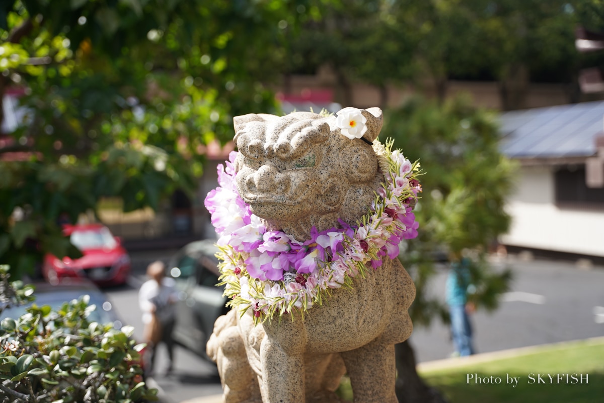 SIGMA 24-70mm F2.8 DG DN Art で撮影した写真