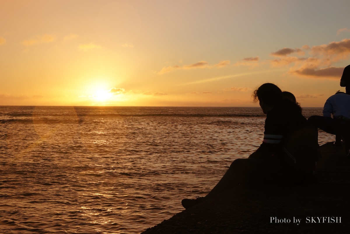 SIGMA 24-70mm F2.8 DG DN Art で撮影した写真