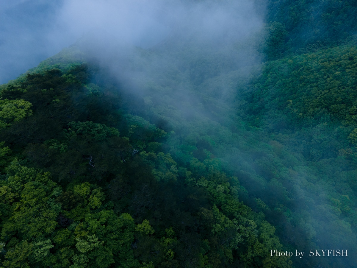 Mavic Air 2 で撮影した写真