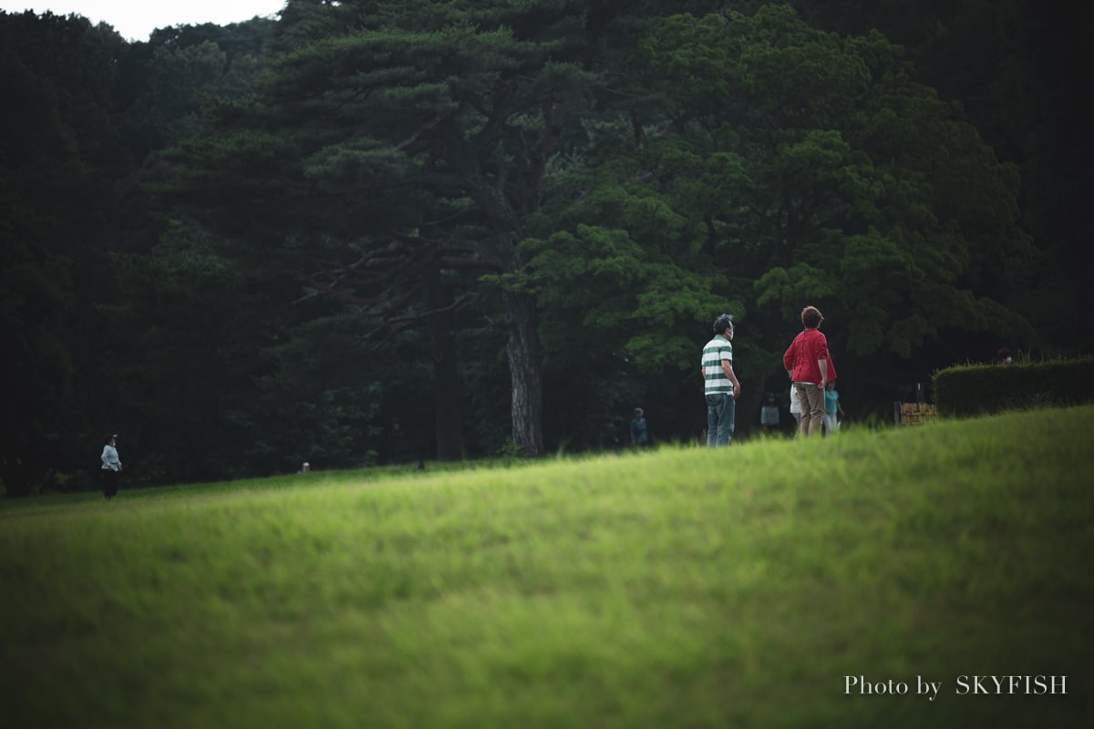 SIGMA APO MACRO 180mm F2.8 EX DG OS HSMの写真