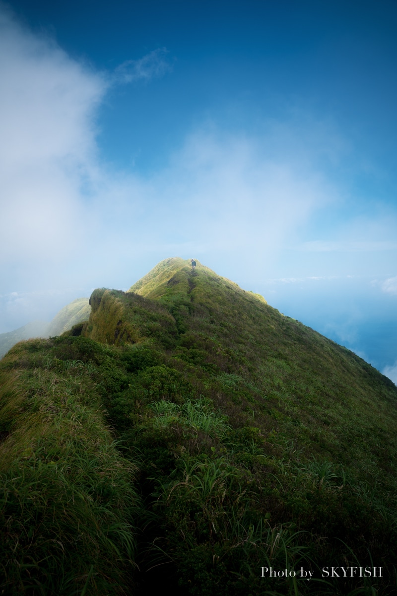 八丈島の風景