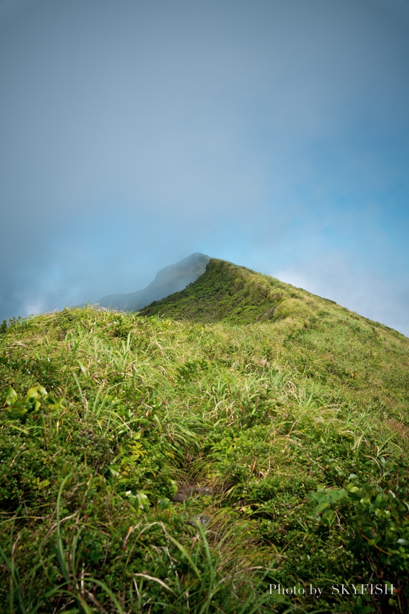 八丈島の風景