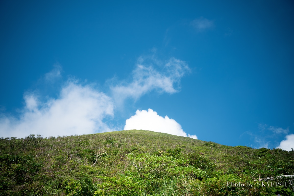 八丈島の風景