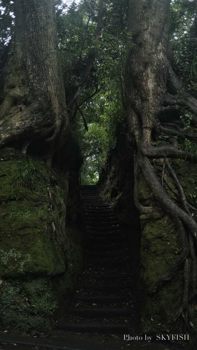 伊豆大島の黒砂漠